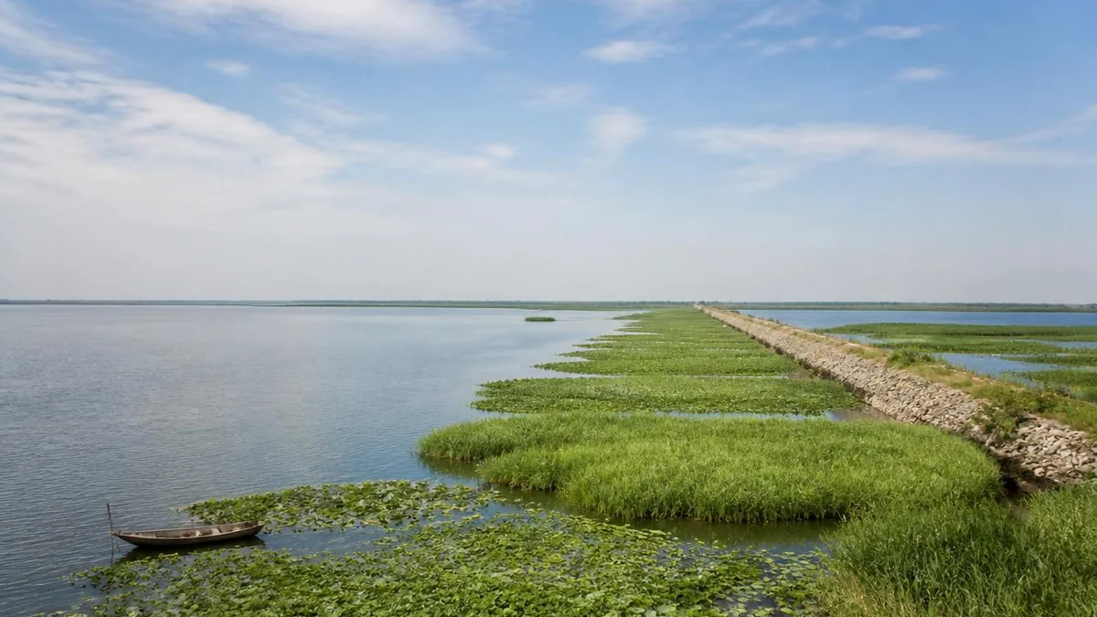 Hongze Lake: The Wetland That Was Engineered
