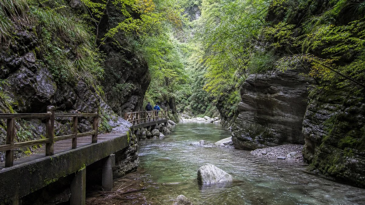 Jinsi Gorge: Read Water, Rock and Forest Up Close