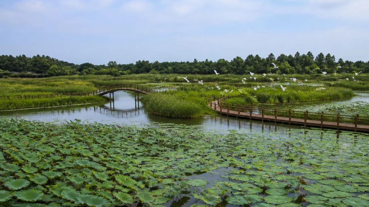 Qinhu: The Day After Qingming
