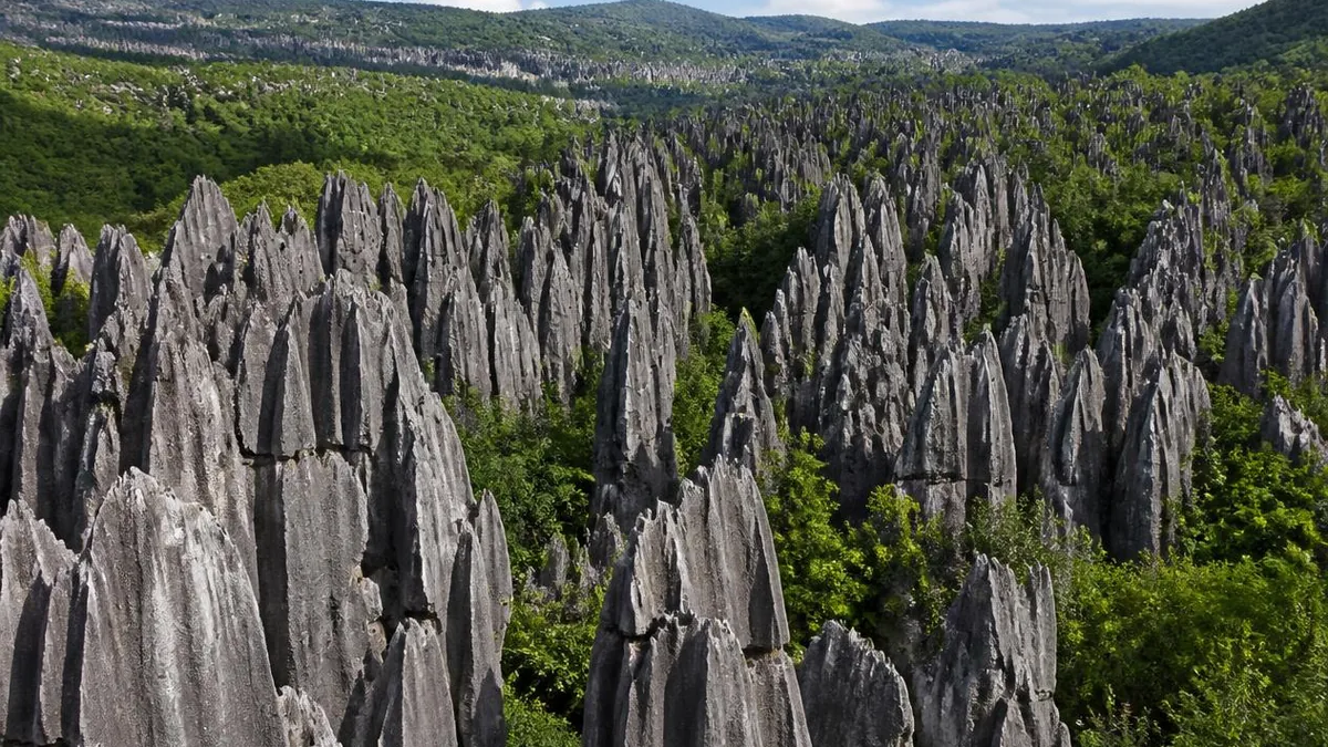 The Stone Forest: A Seabed That Was Dissolved Away