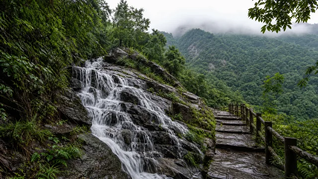 天堂寨：水音から大別山の分水嶺へ