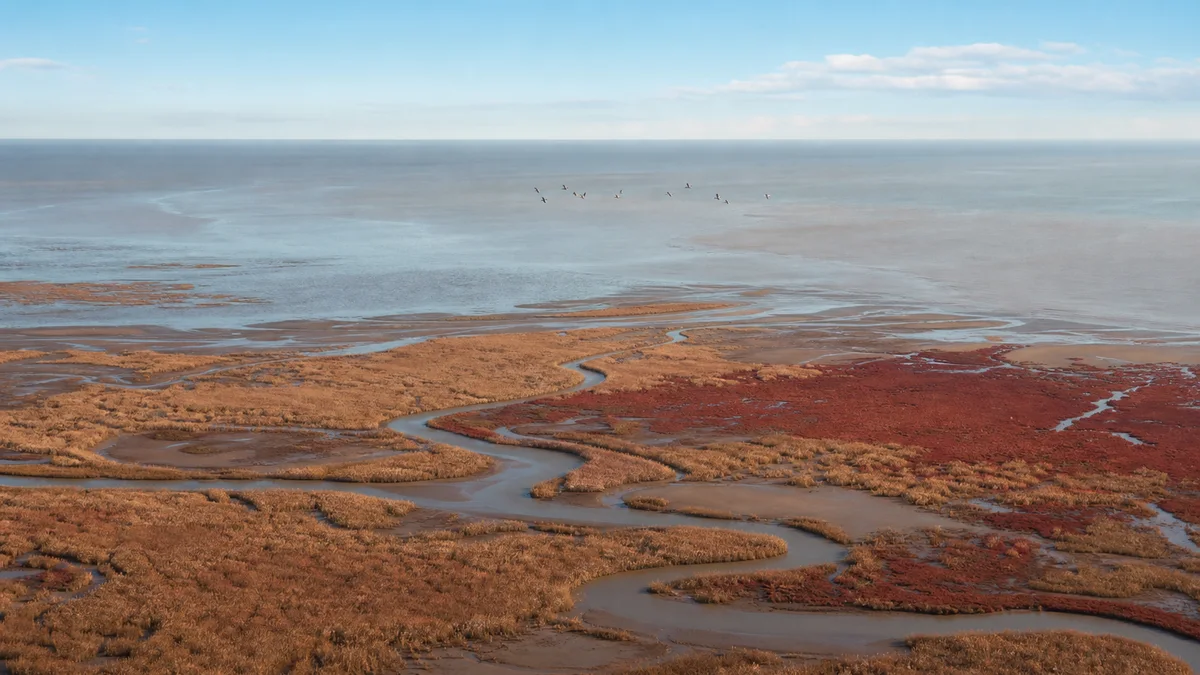 Yellow River Delta: Where a River Builds Land
